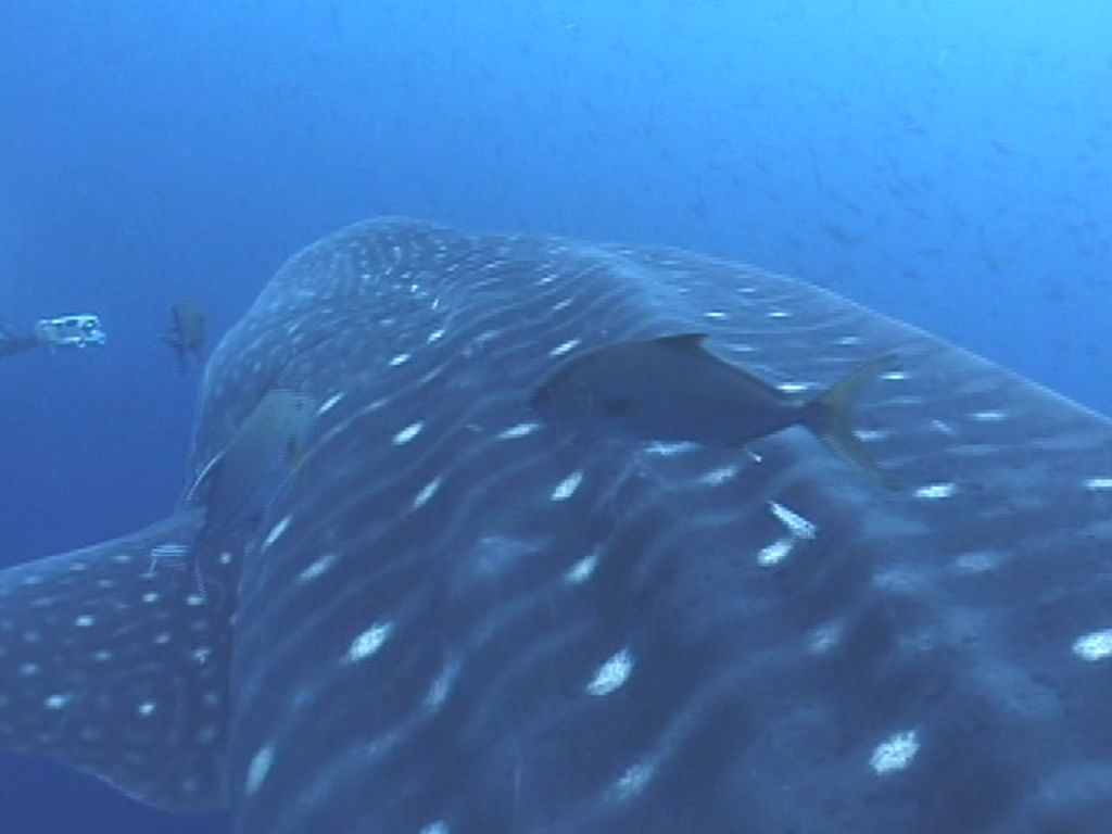 122dba38-ce95-4f50-bff5-3b7a7a70e898