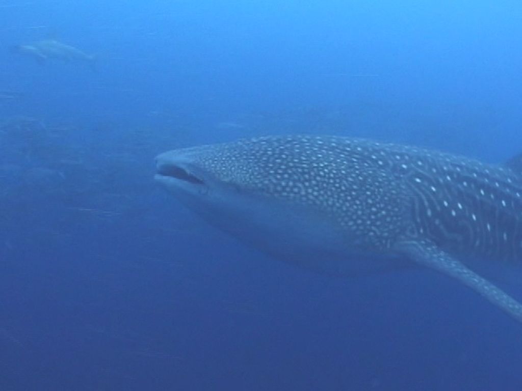 c845e050-00d4-4975-a3d1-773dba037c6b