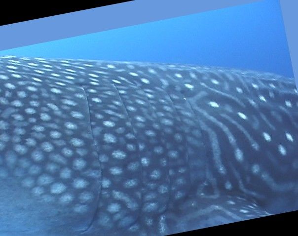 c845e050-00d4-4975-a3d1-773dba037c6b