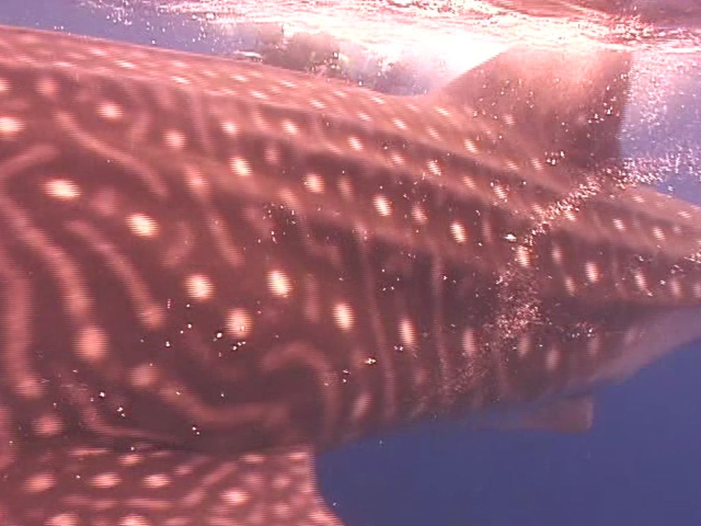 c845e050-00d4-4975-a3d1-773dba037c6b