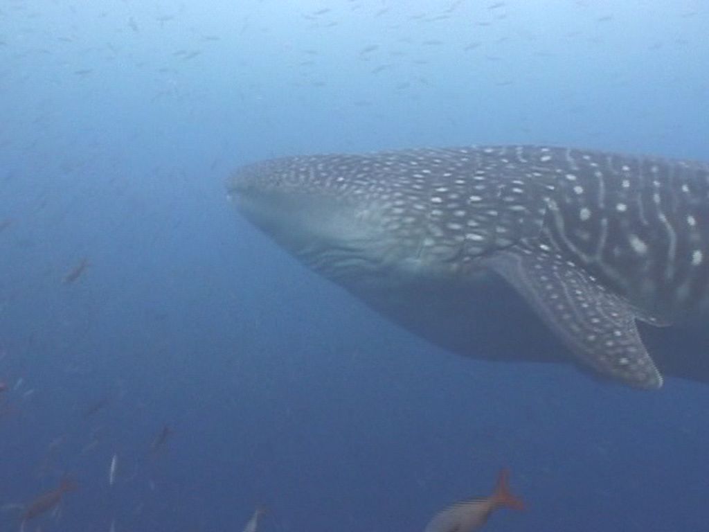 766d5276-8e20-45b2-aa71-09d127f3fc85