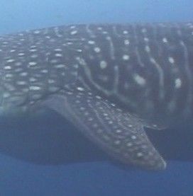 766d5276-8e20-45b2-aa71-09d127f3fc85