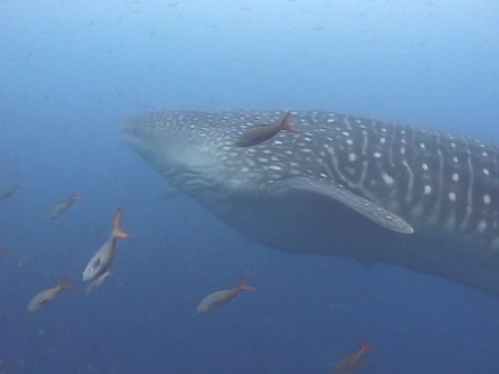 766d5276-8e20-45b2-aa71-09d127f3fc85