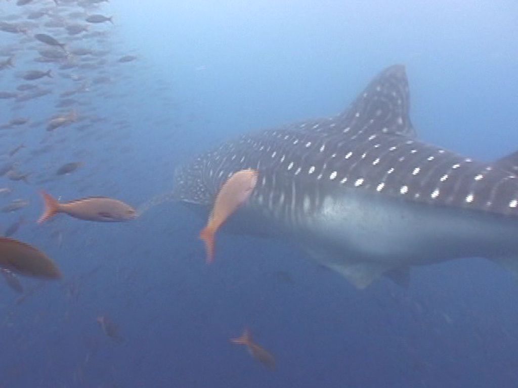 766d5276-8e20-45b2-aa71-09d127f3fc85