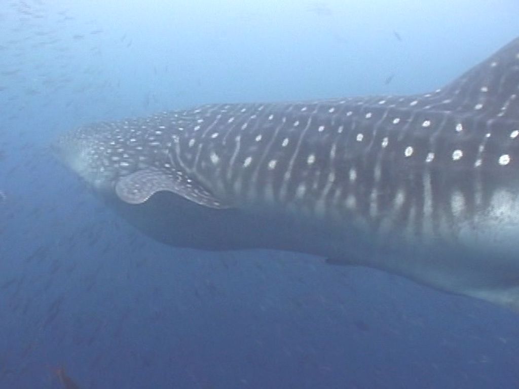 766d5276-8e20-45b2-aa71-09d127f3fc85