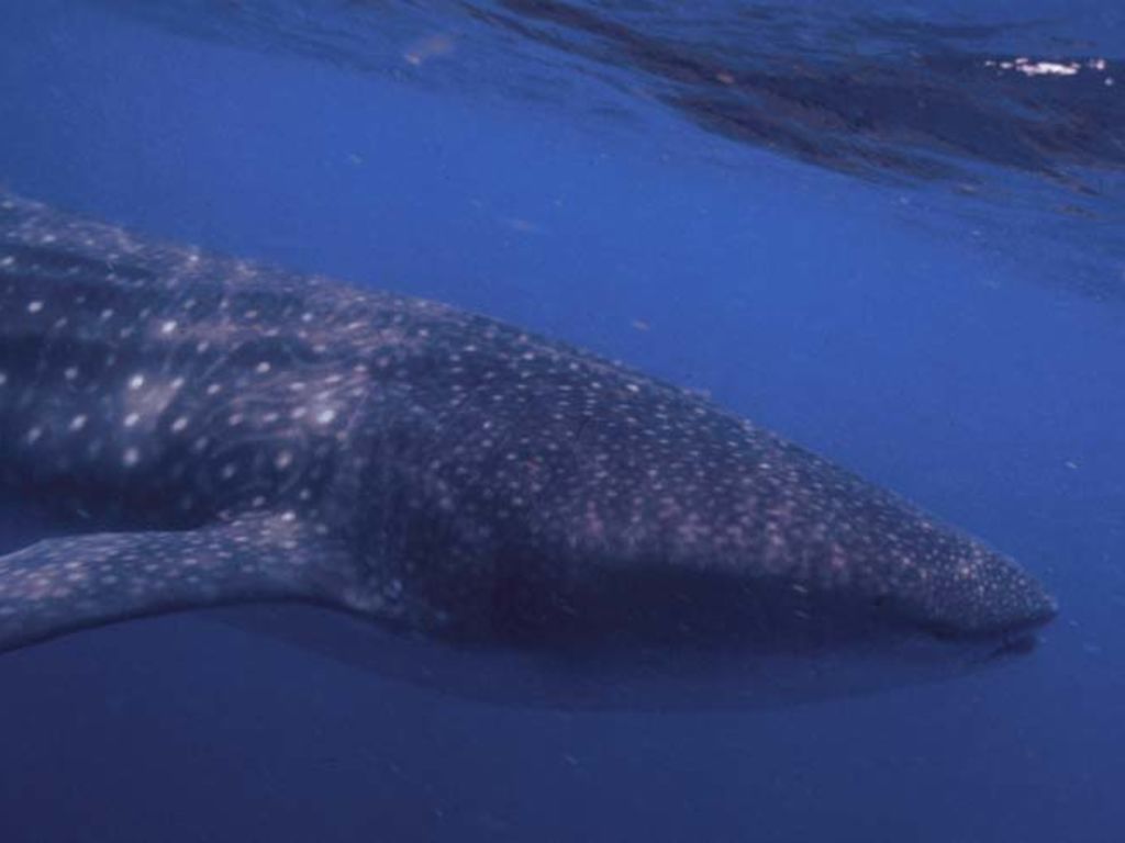 6adda6b3-4421-4af0-98bb-136802047508