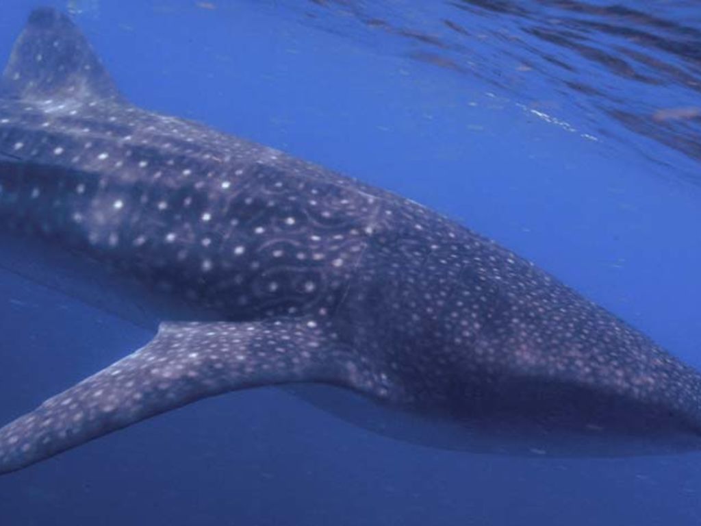 6adda6b3-4421-4af0-98bb-136802047508