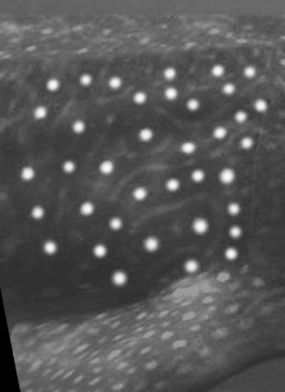 6adda6b3-4421-4af0-98bb-136802047508