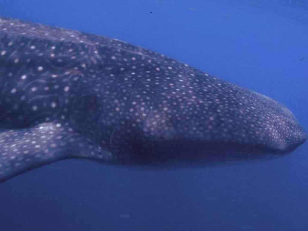 6adda6b3-4421-4af0-98bb-136802047508