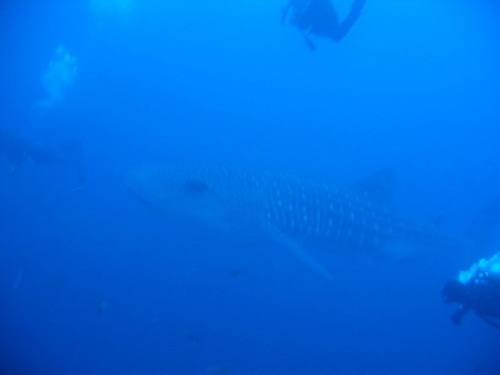 852efc59-3547-48b8-b490-5ed4566fe17f