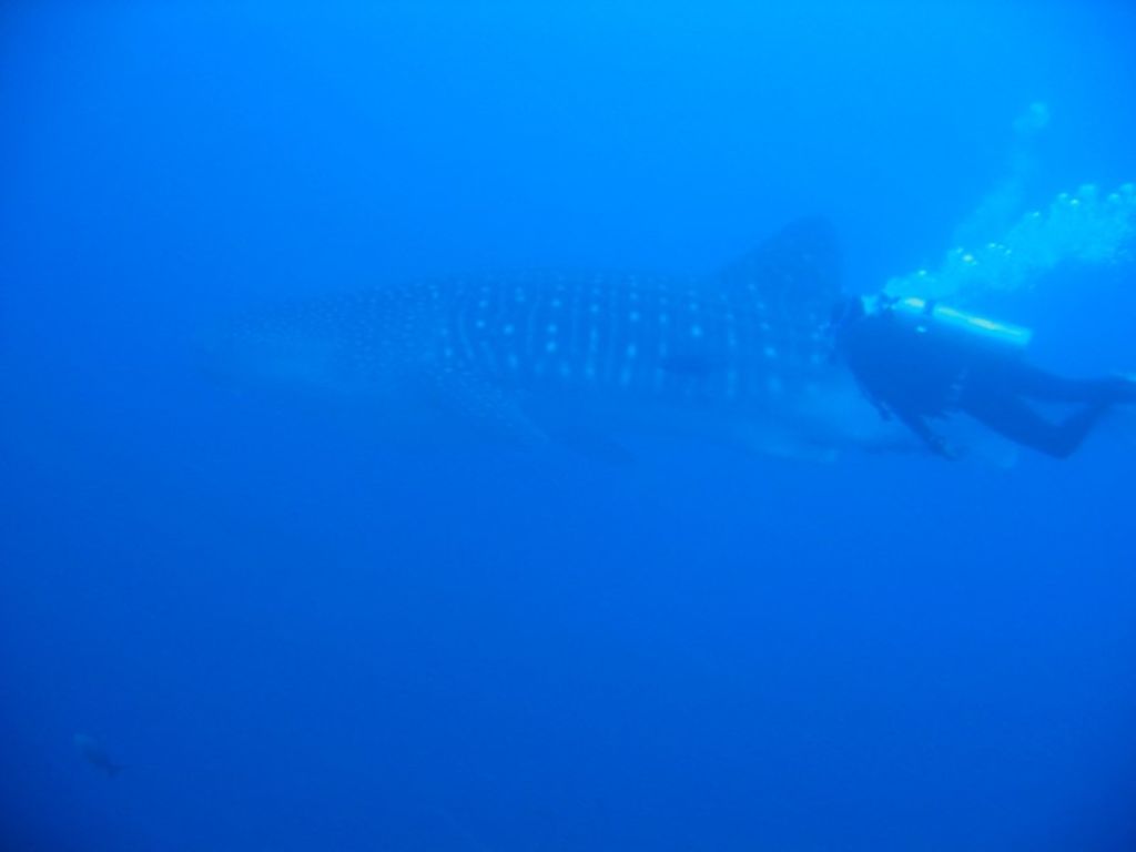 852efc59-3547-48b8-b490-5ed4566fe17f