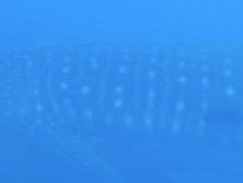 852efc59-3547-48b8-b490-5ed4566fe17f