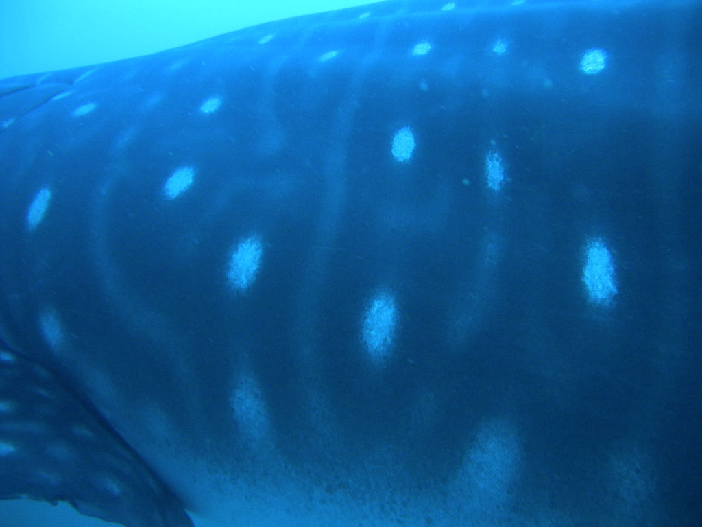 5a22b182-9c95-46d9-beb2-074047d26d9f