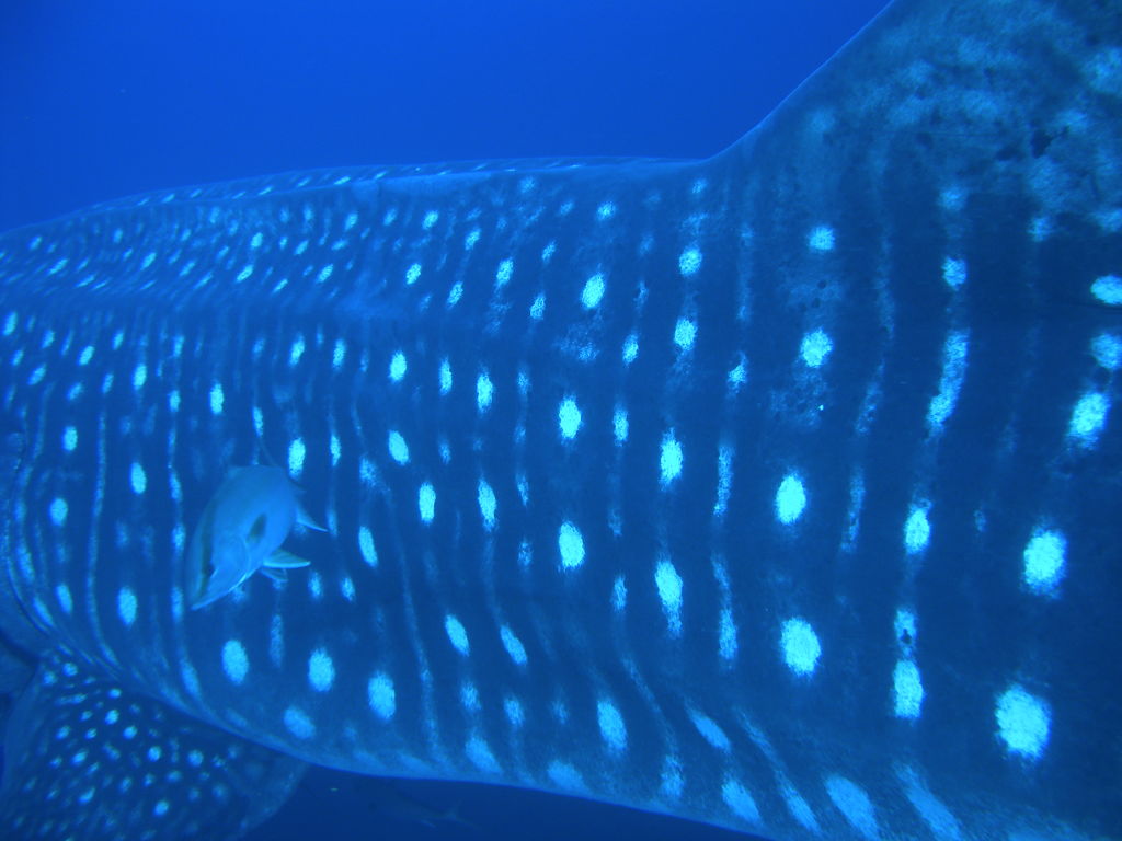 eae240c8-a663-4650-9e5f-919737d15d7f