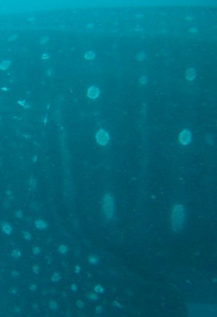 158e8ab1-cc21-408c-a43c-dd82c06db6c2