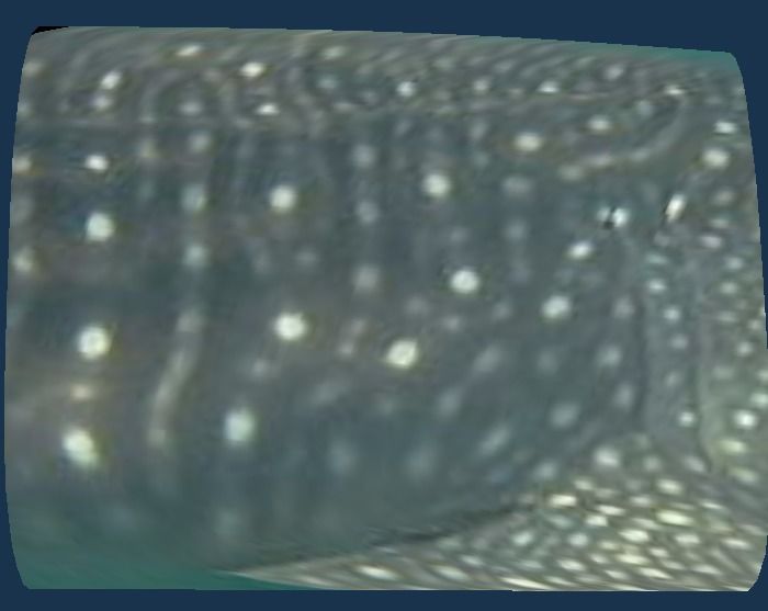 734fe89f-6fd7-43de-8f89-90c879613ede