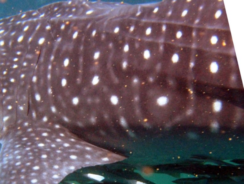 f34d2167-9ed6-4abe-afeb-603082b4af0c