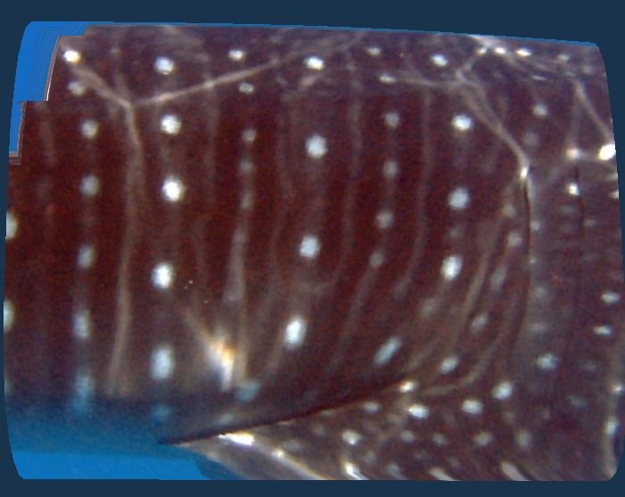 a202fd1c-d164-44ad-825c-a956be36753b