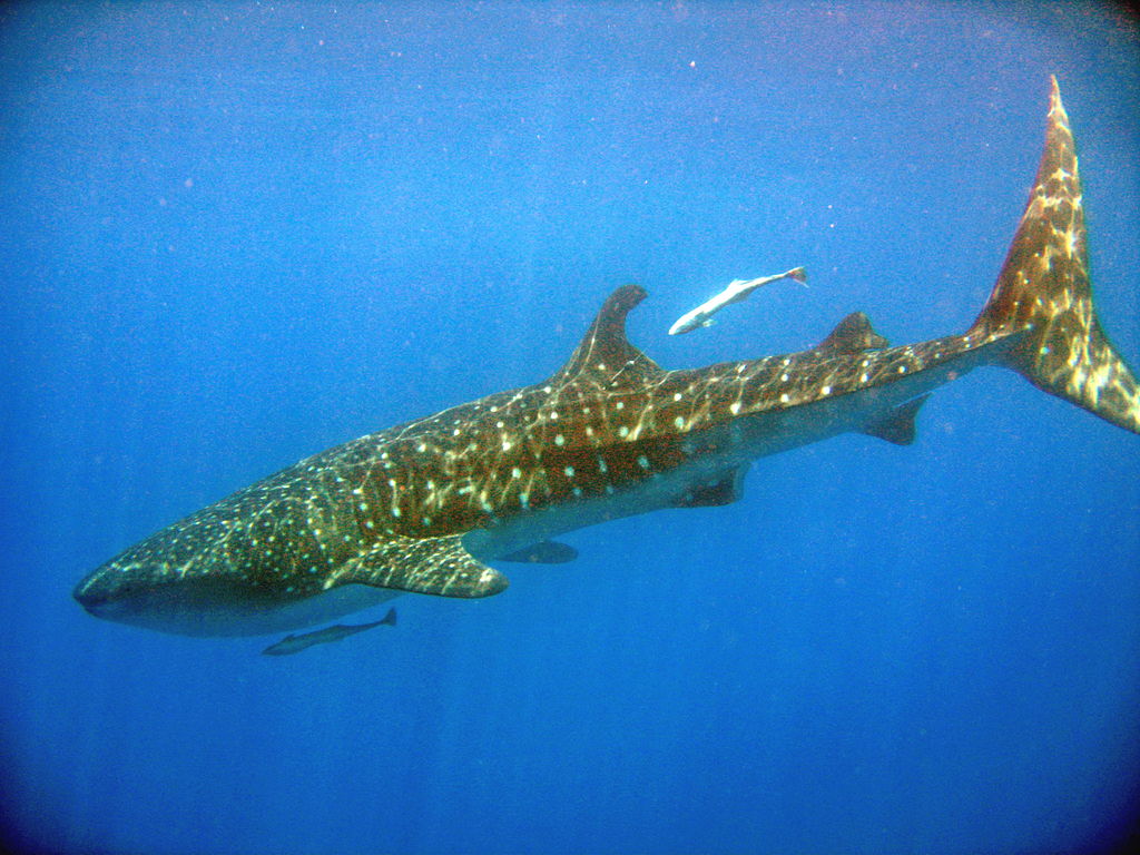 a202fd1c-d164-44ad-825c-a956be36753b