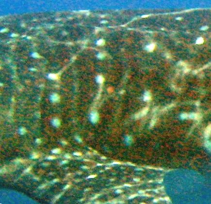 a202fd1c-d164-44ad-825c-a956be36753b