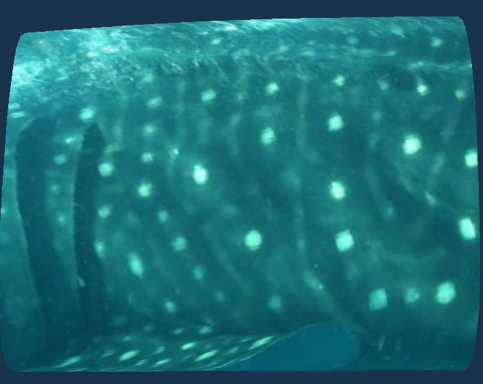 8541e60a-c91b-4df4-9163-bda35b4ac9df