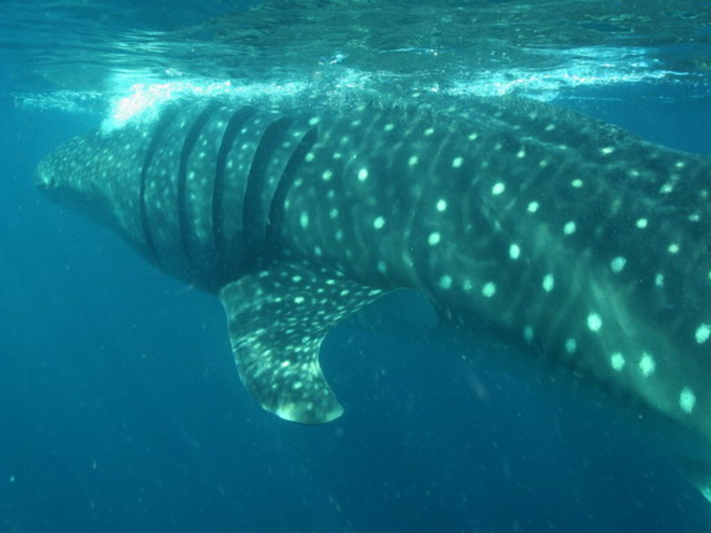 8541e60a-c91b-4df4-9163-bda35b4ac9df