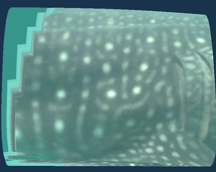 ad4194ef-7e47-4288-bc78-934e414e524b