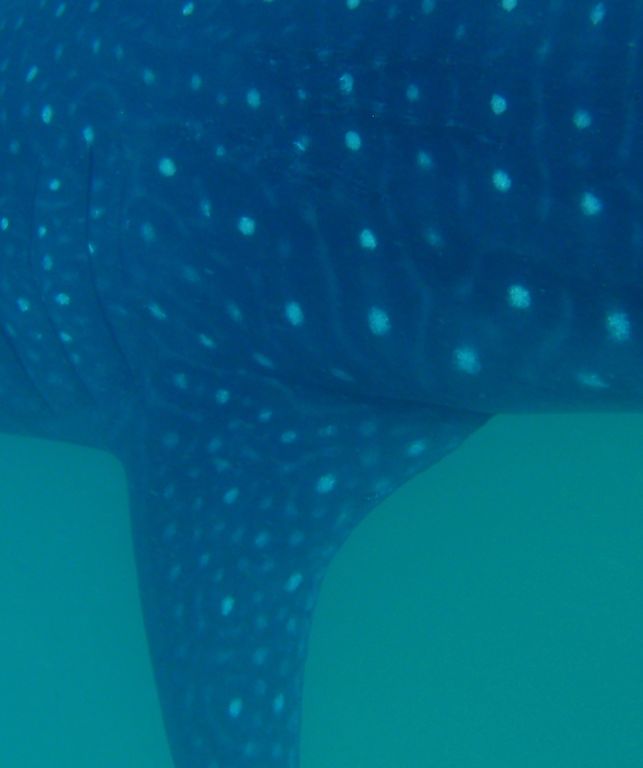 d3b171a5-75c6-4a42-82f4-113a84b6cc18