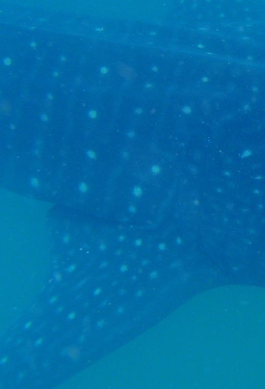 d3b171a5-75c6-4a42-82f4-113a84b6cc18