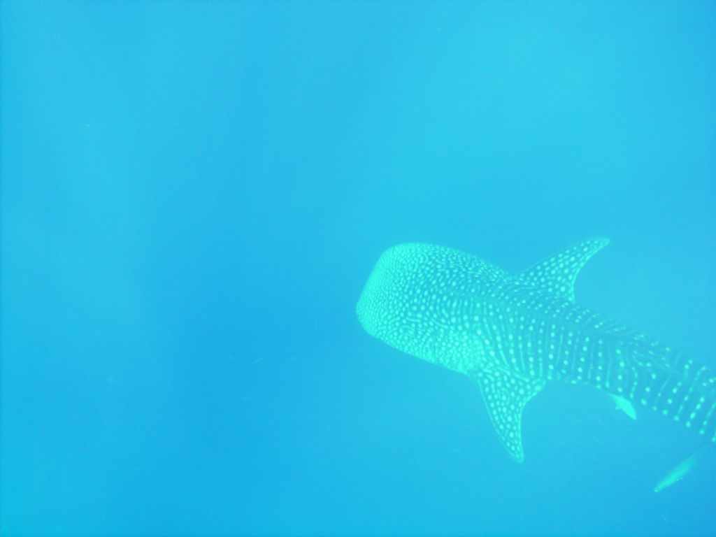 62e82b99-03ae-462e-a842-8317217d5241