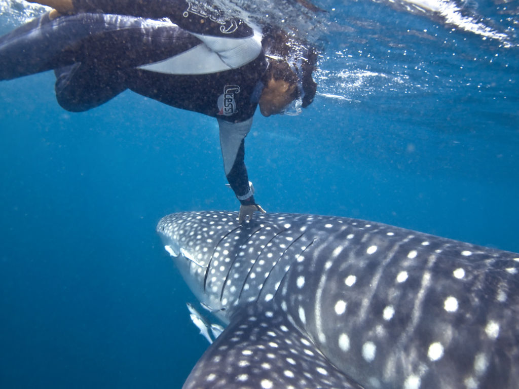 51a39cf1-3432-4479-98ed-9bb74cbf3d7f