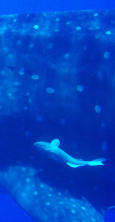 2147e8a8-8f29-4d8c-81c0-a56b83174a19