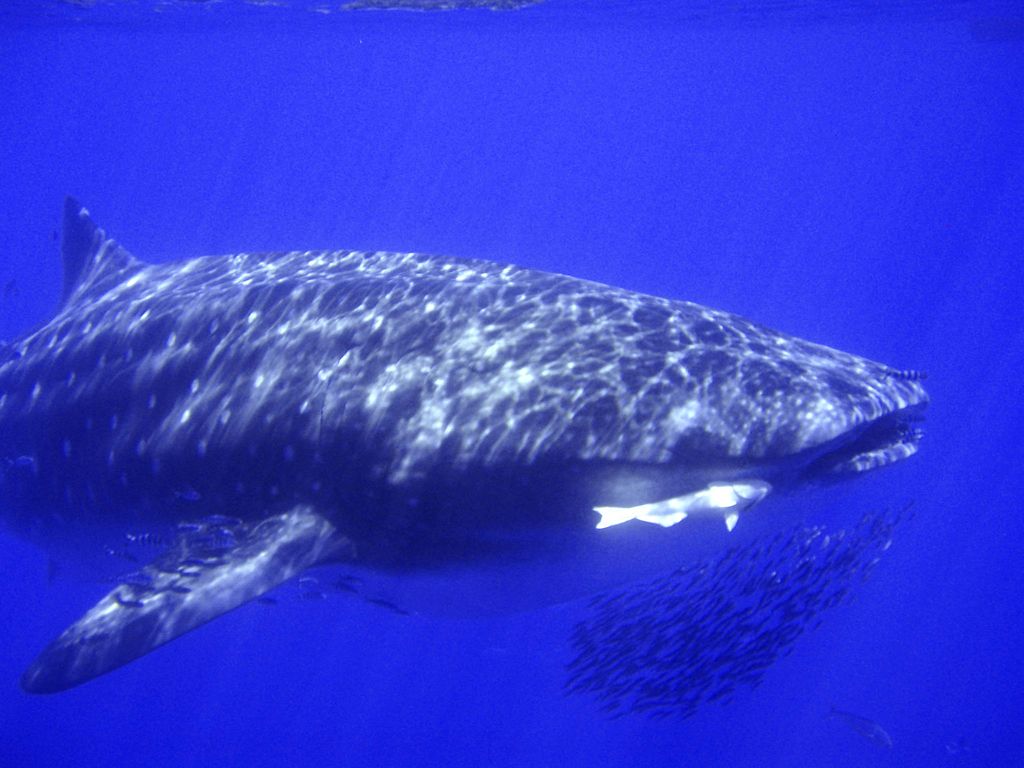 2147e8a8-8f29-4d8c-81c0-a56b83174a19