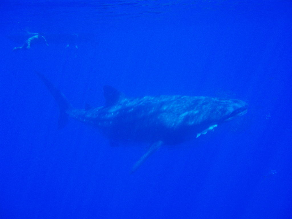 2147e8a8-8f29-4d8c-81c0-a56b83174a19