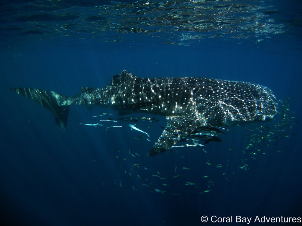 b46d3120-f567-4e1c-a35d-d34153156a07