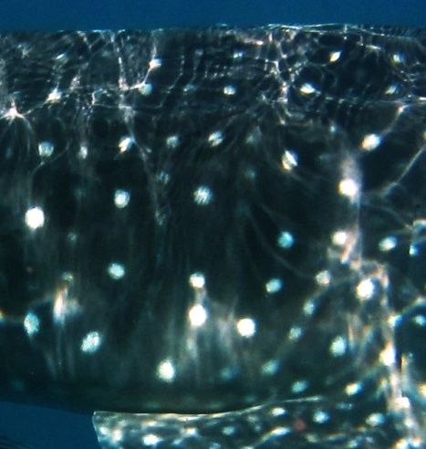 b46d3120-f567-4e1c-a35d-d34153156a07