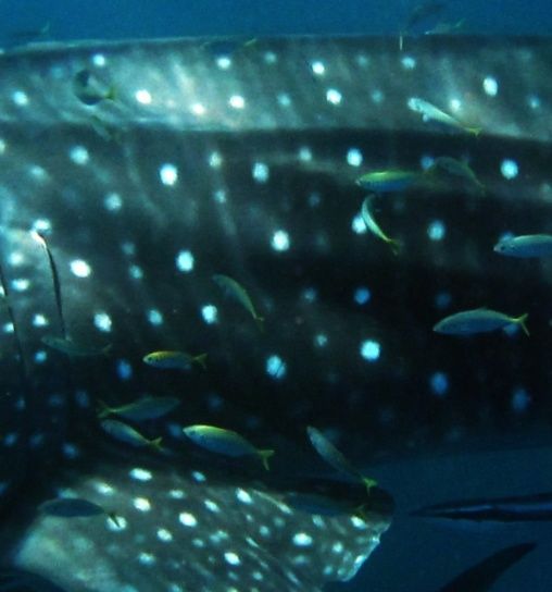 b46d3120-f567-4e1c-a35d-d34153156a07