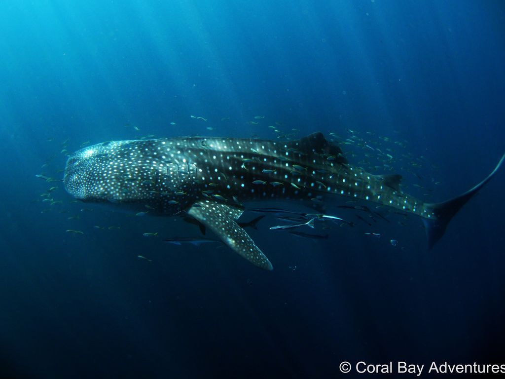 b46d3120-f567-4e1c-a35d-d34153156a07