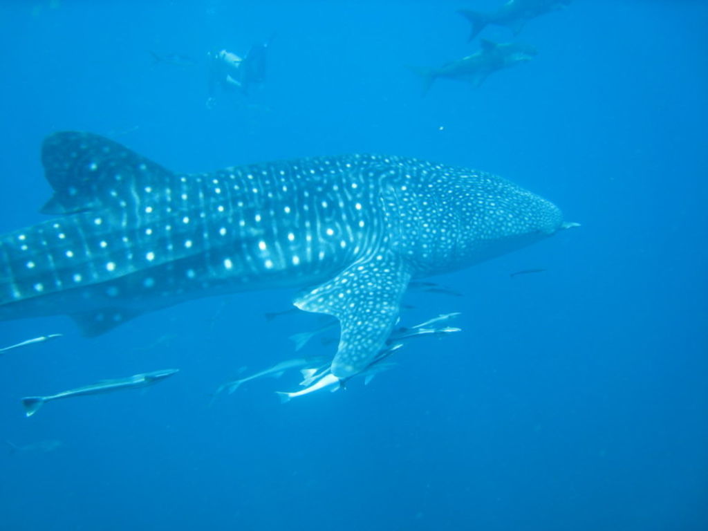 1094351c-3497-4007-a1b5-f1f0c662fab6