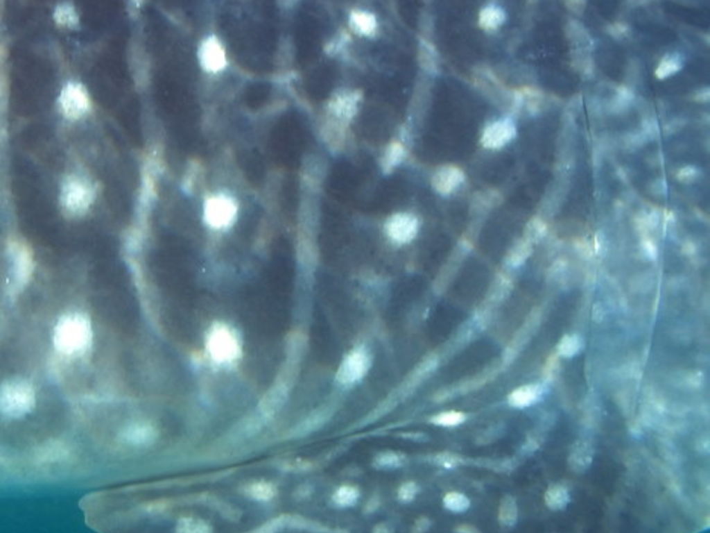 e4ed73f1-08e8-46f7-92c3-9e4bac3899a7