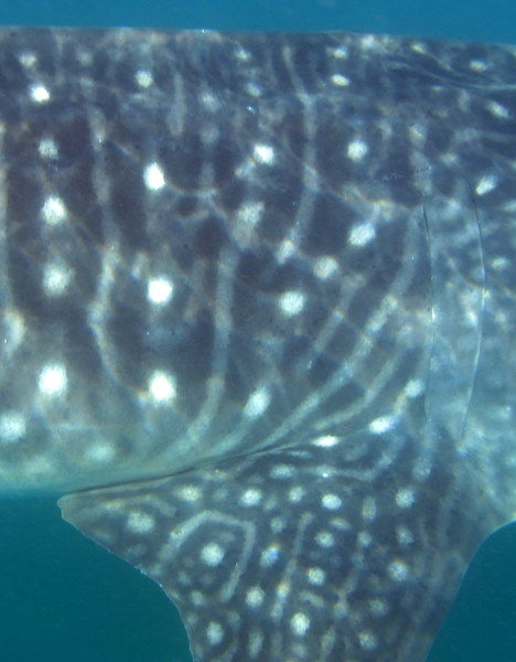 e4ed73f1-08e8-46f7-92c3-9e4bac3899a7