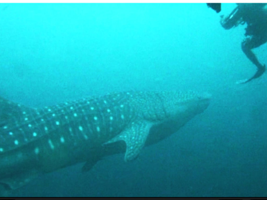 b78e25dc-eb0d-46f8-bf64-4ce8b556842b