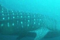 b78e25dc-eb0d-46f8-bf64-4ce8b556842b