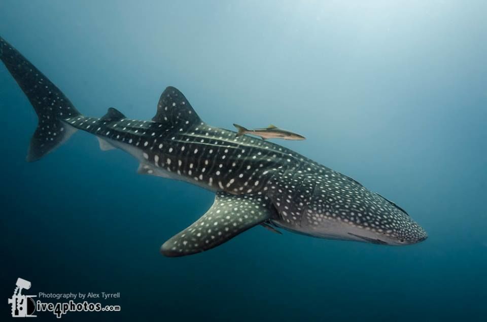 9b1fa665-eddb-4178-8388-ee61ac432b6a