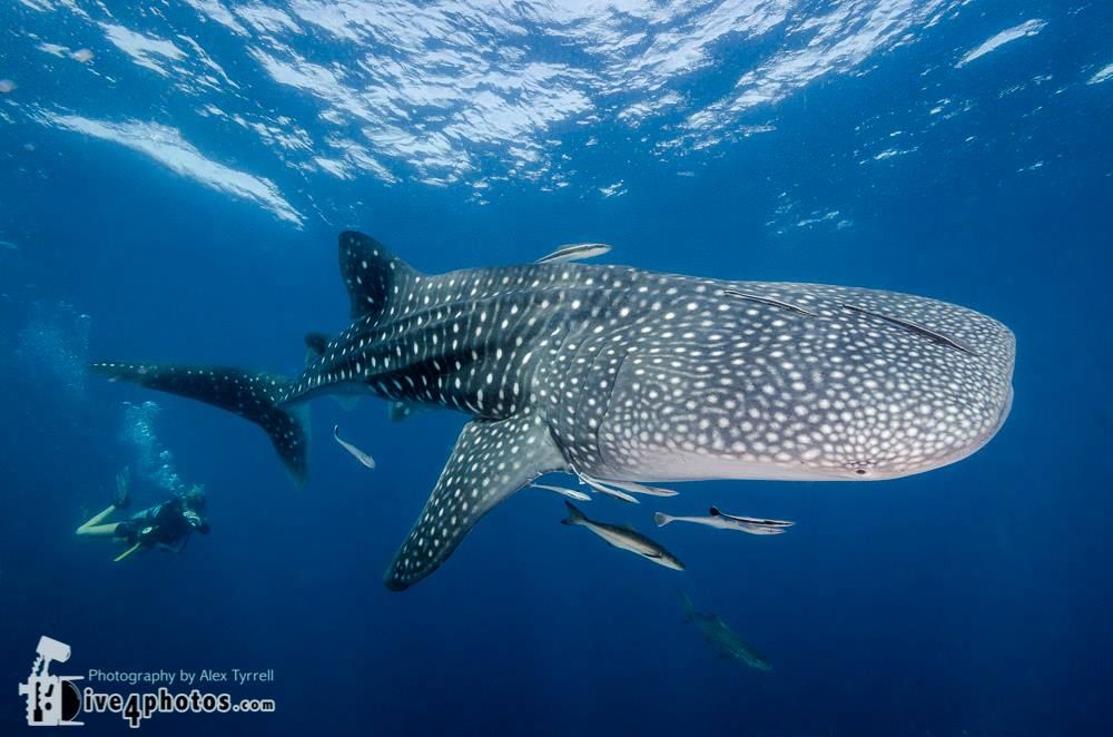 9b1fa665-eddb-4178-8388-ee61ac432b6a