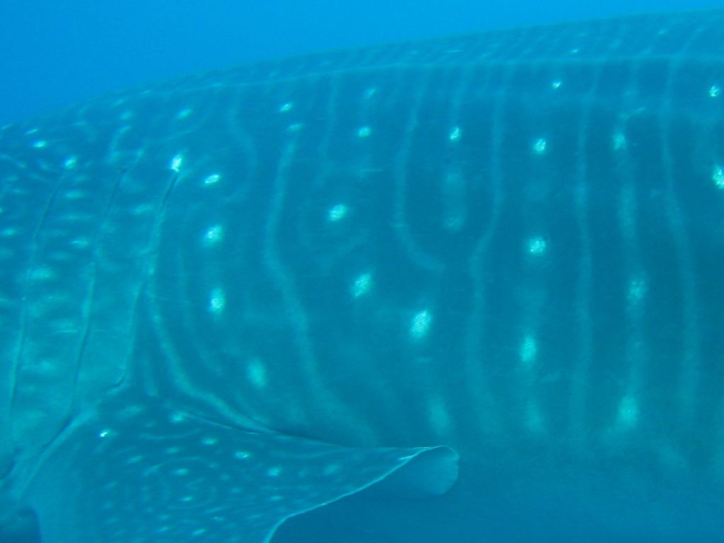 8fdc2e41-afa4-4ffa-9c68-5e1edd89b3d4