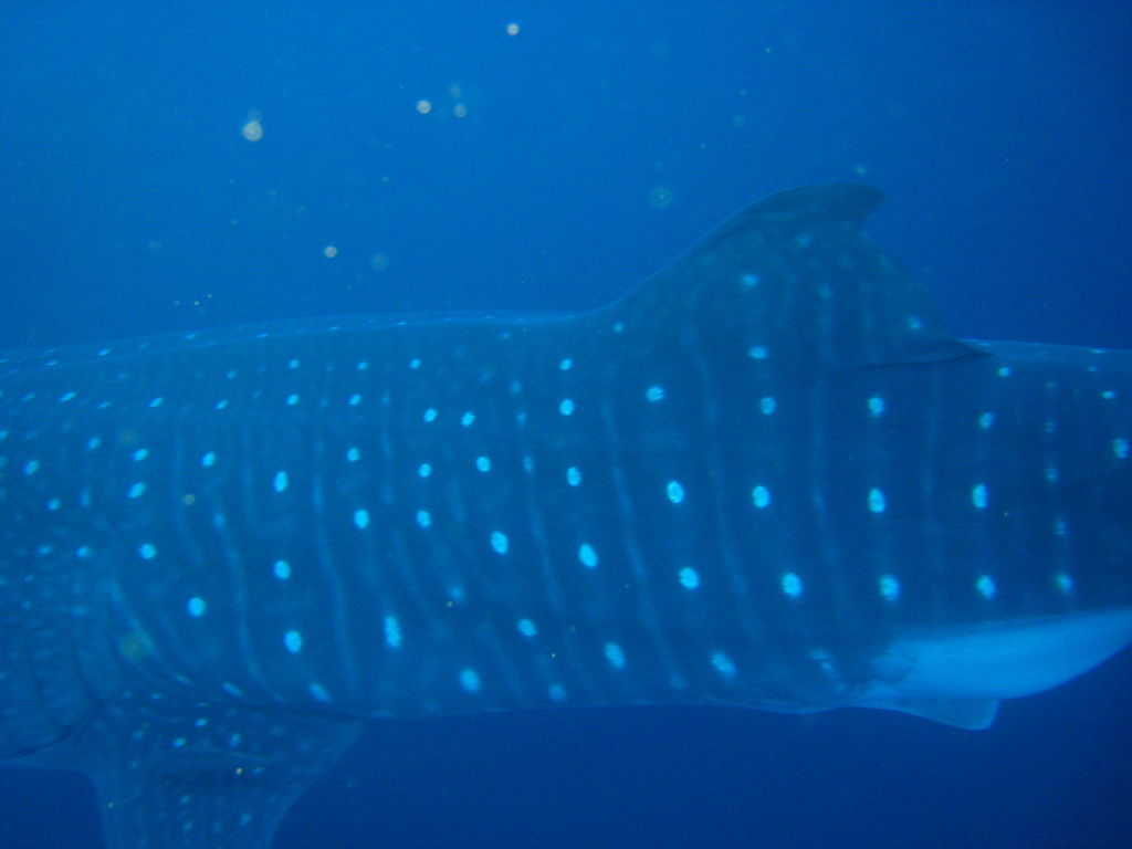 665898ca-d9ad-4935-9f6b-32792c25da77