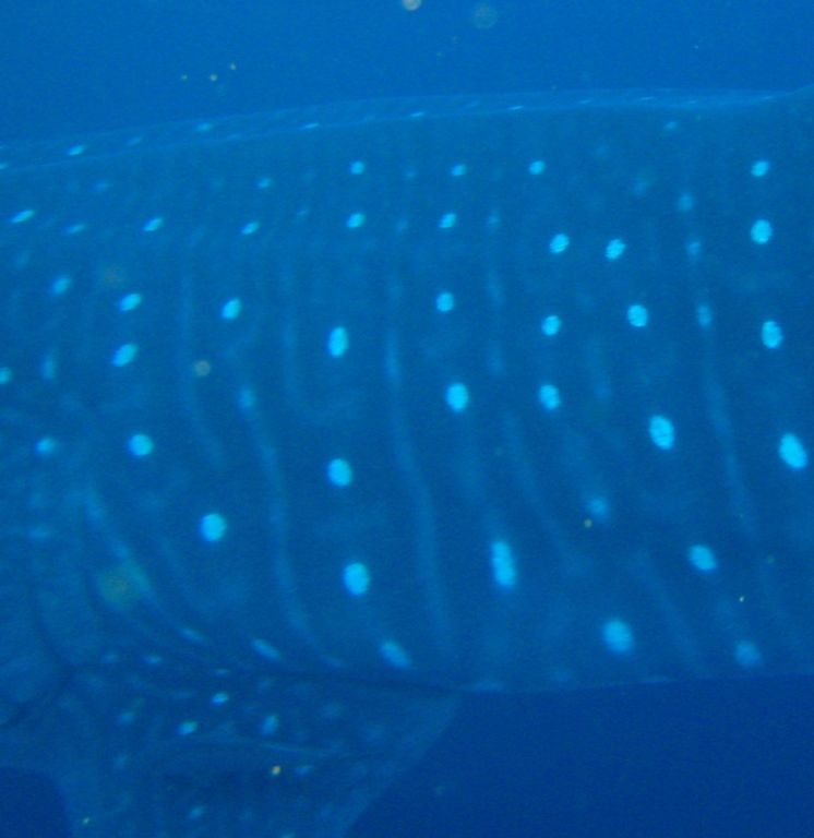 665898ca-d9ad-4935-9f6b-32792c25da77