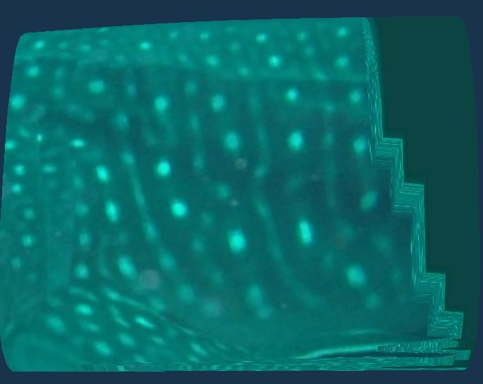 28001d7a-ebb6-4957-8f52-eff9e3a2f507