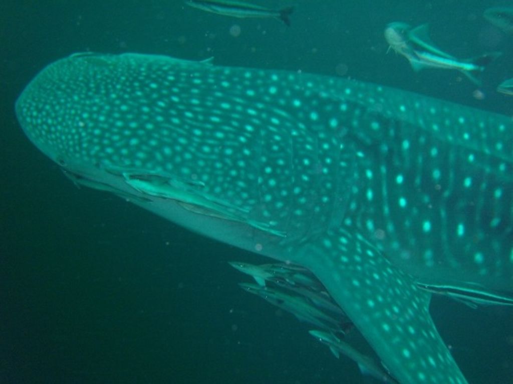 28001d7a-ebb6-4957-8f52-eff9e3a2f507